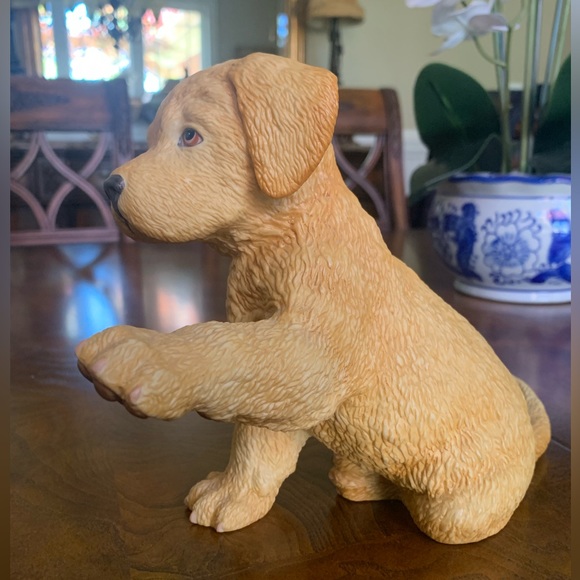 Lenox Yellow Labrador Retriever - Picture 3 of 14
